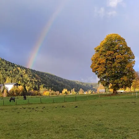 Goglhof * Ramsau am Dachstein