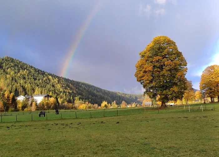 Goglhof * 람자우 암 다흐스타인