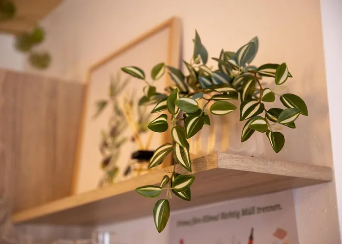 아파트 Goglhof 람자우 암 다흐스타인